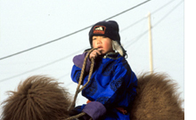 L'HISTOIRE DU CHAMEAU QUI PLEURE  (THE STORY OF THE WEEPING CAMEL)