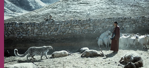 Le Léopard des neiges (Xue bao) 